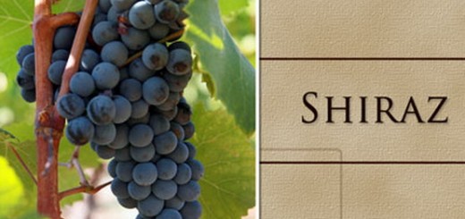 450-155321145-syrah-grapes