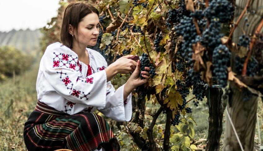 Native-Wine-Grapes-of-Romania