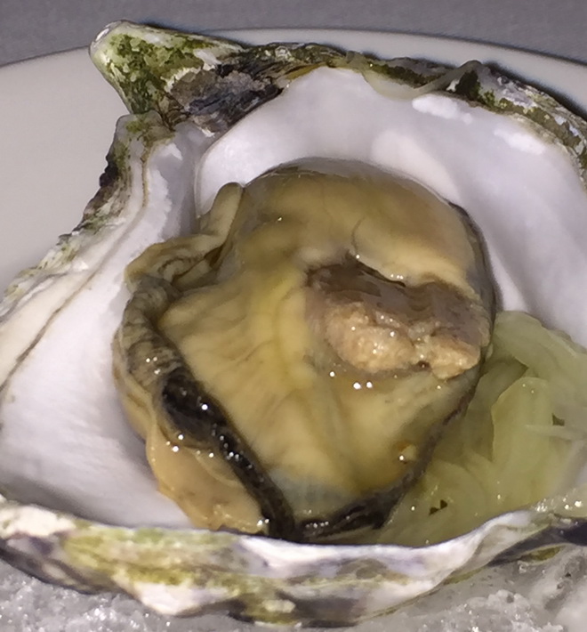 Pickle Oyster