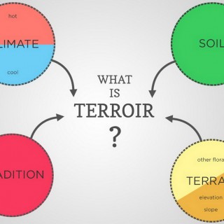 Terroir คืออะไร