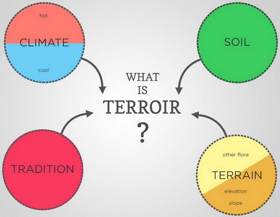 Terroir คืออะไร