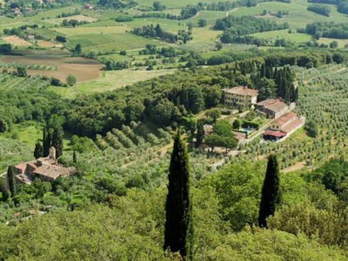 Petrolo Estate