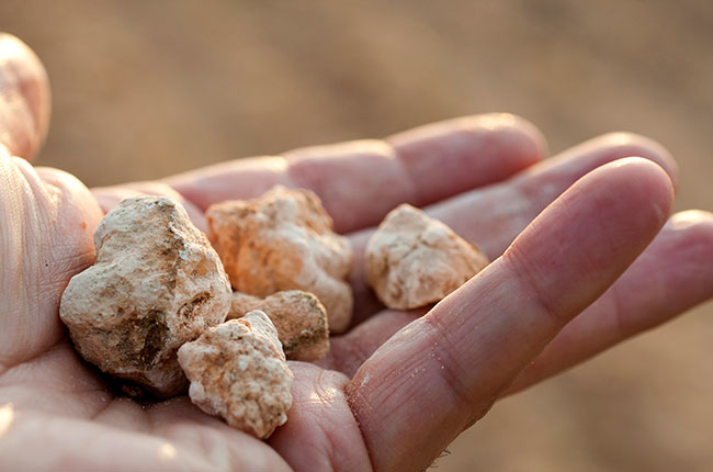 Limestone pebbles typical of the Cava region