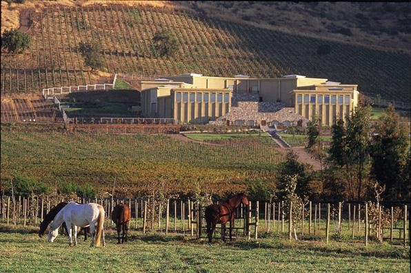 vina-haras-de-pirque2