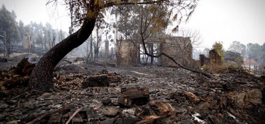The aftermath of fires in As Neves in Rías Baixas, Galicia, on 16 October.