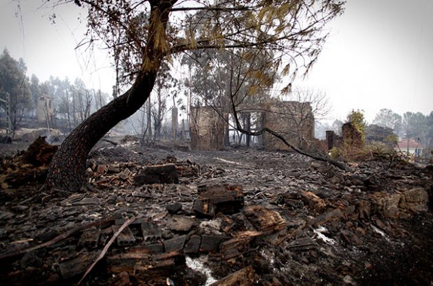 The aftermath of fires in As Neves in Rías Baixas, Galicia, on 16 October.