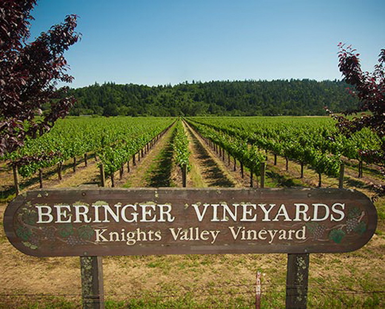 Knight Valley  Vineyard