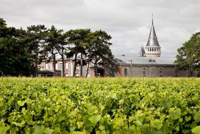 ไร่ les clos autour ของ Pommery