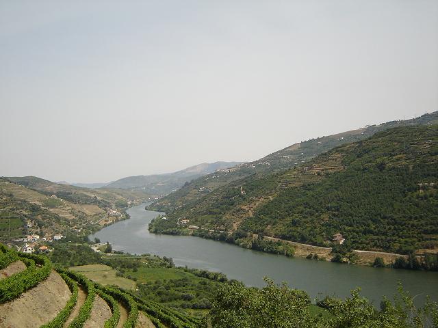 ไร่องุ่นริมฝั่งแม่น้ำ Douro