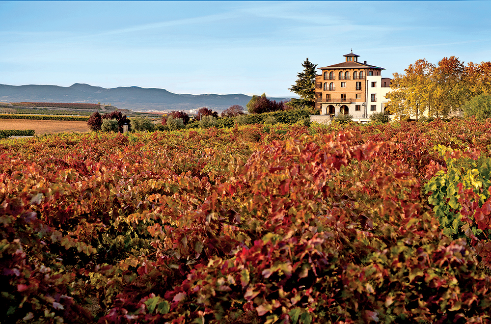 Bodegas Beronia