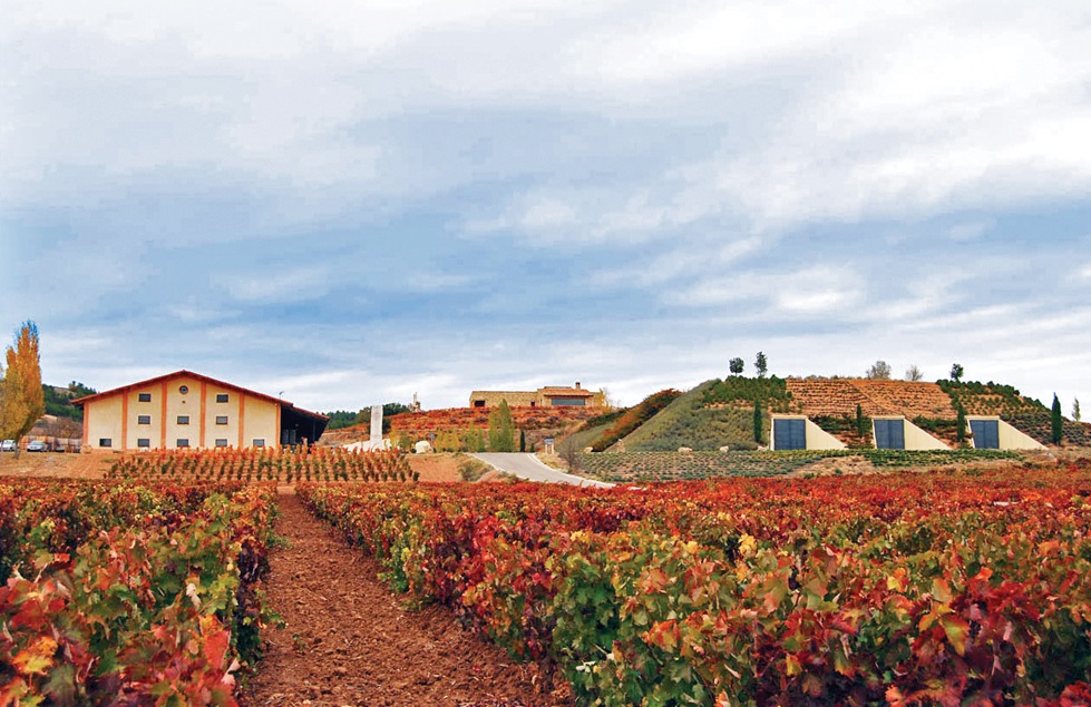 Bodegas Valduero