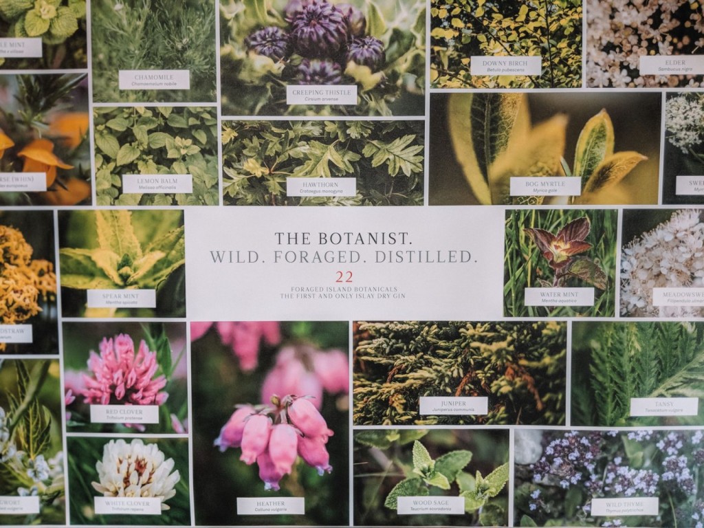 วัตถุดิบของจิน Botanist