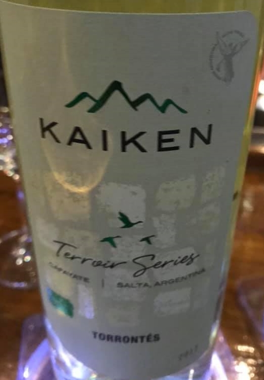 Kaiken Terroir Series Torrontes 2017